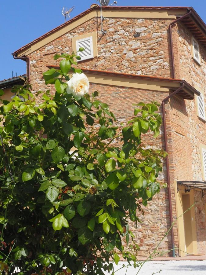 La Casa Di Samarcanda Uliveto Terme Eksteriør bilde