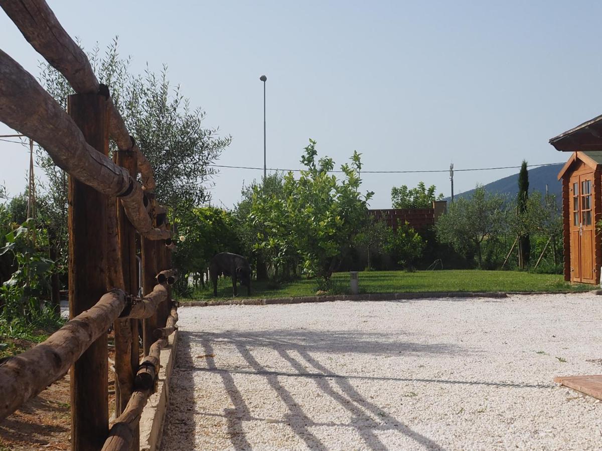 La Casa Di Samarcanda Uliveto Terme Eksteriør bilde