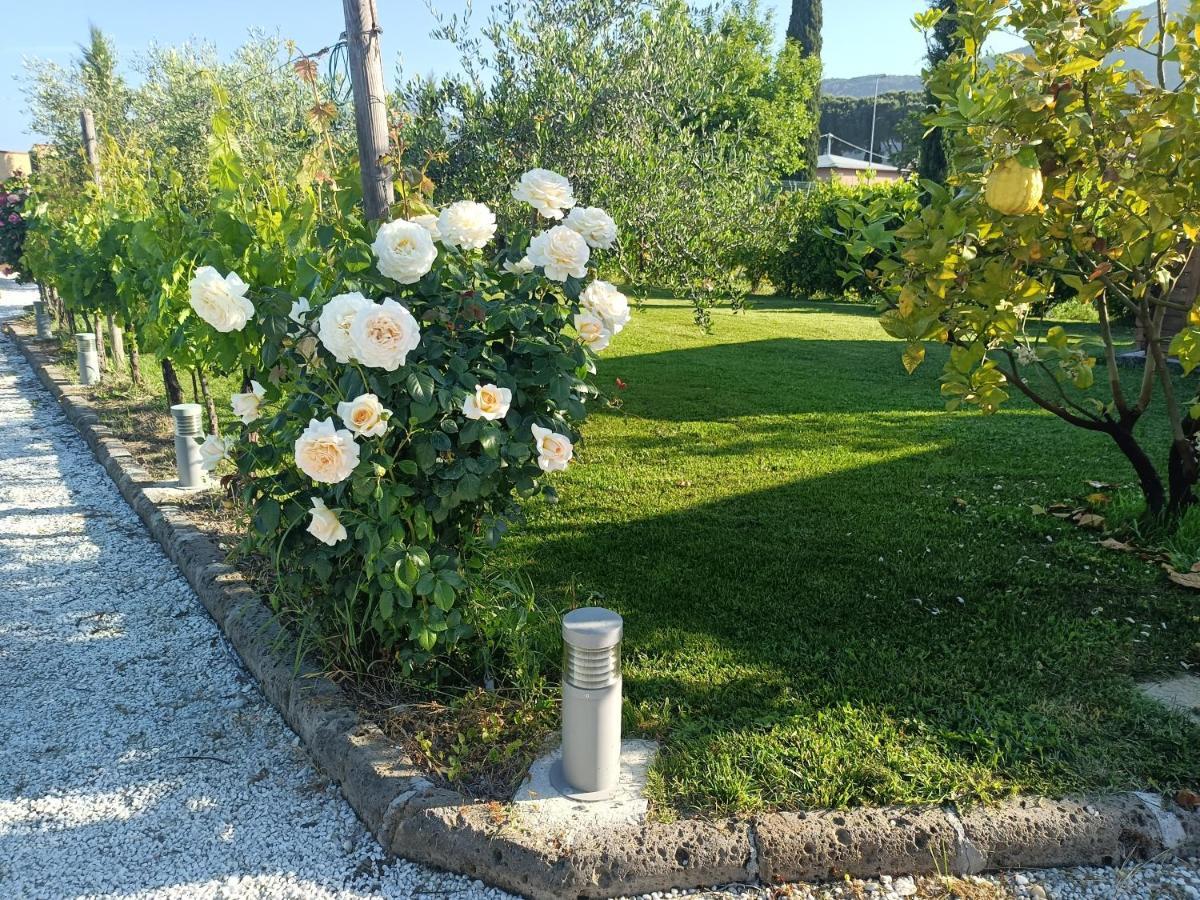 La Casa Di Samarcanda Uliveto Terme Eksteriør bilde